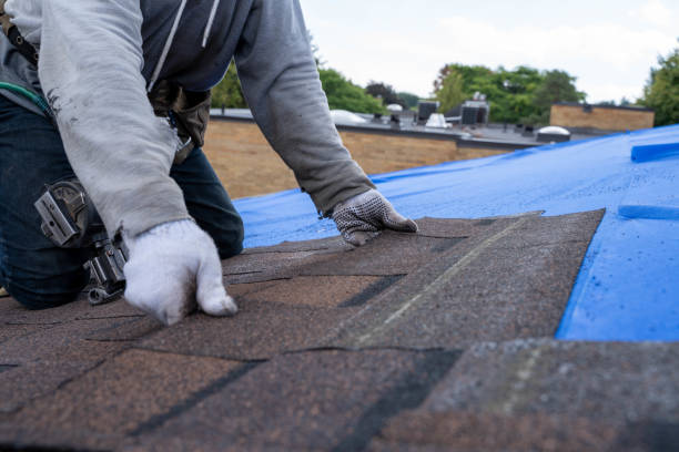 Best Commercial Roofing Services  in Peculiar, MO